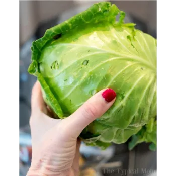 Cabbage (29)-9751764-47713.webp